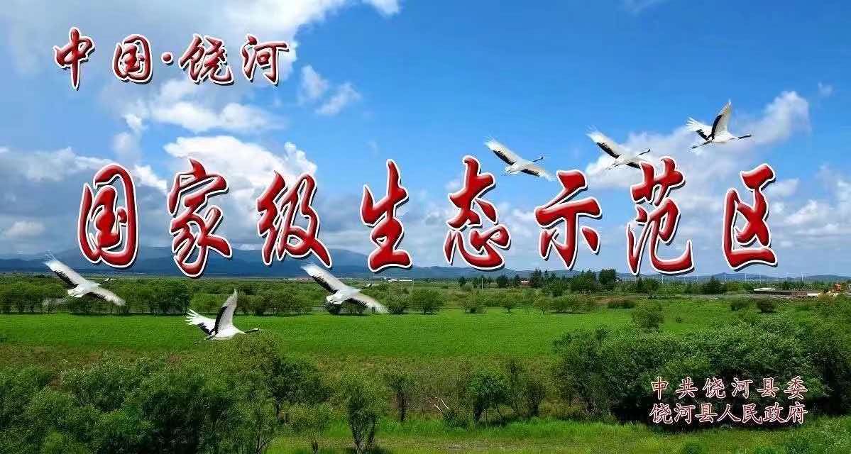 养蜂海报 5