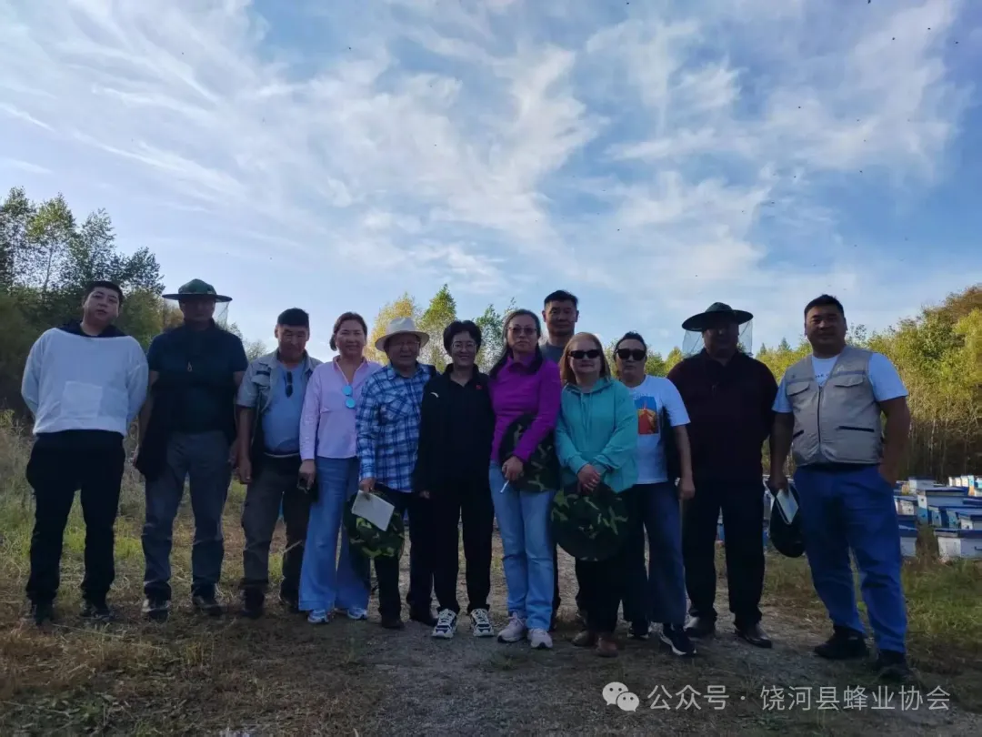企业发展脉络